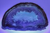 Colorful, Polished Patagonia Agate - Highly Fluorescent! #214913-3
